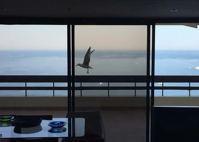 With A Stunning View Over